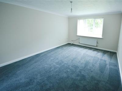 Picture 13